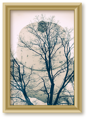 BLUE OLD TREE